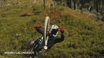 GIF by dmrbikes