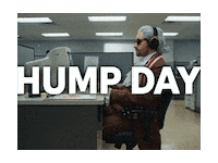Wednesday Hump Day Sticker