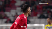 sl benfica slbgifs GIF by Sport Lisboa e Benfica
