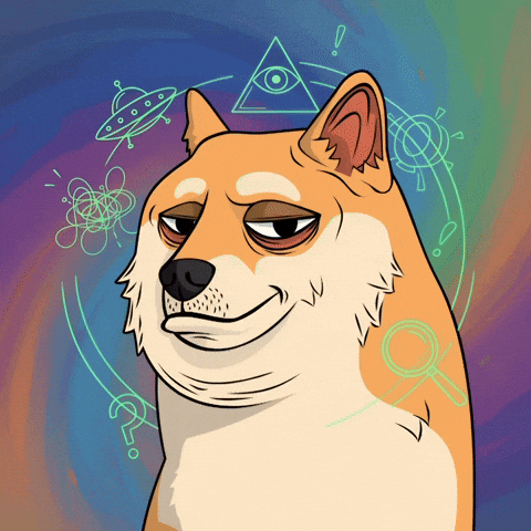 Suspicious Shiba Inu GIF by Doge Pound