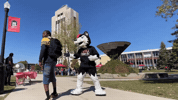 Boat Race Fun GIF by Northern Illinois University
