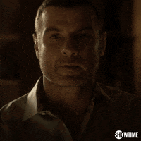 liev schreiber showtime GIF by Ray Donovan