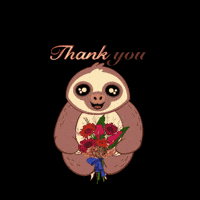 Sloth 감사 GIF