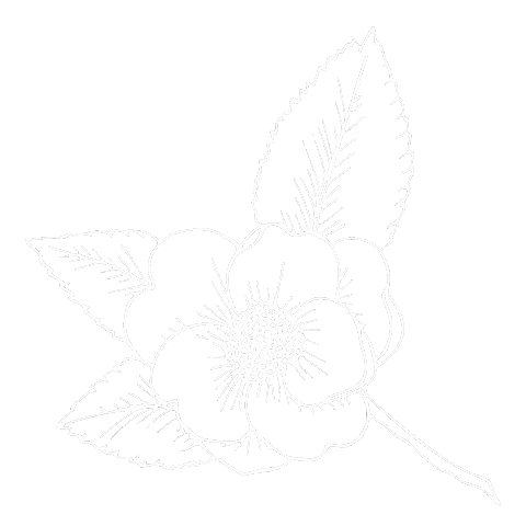 Flower Sticker