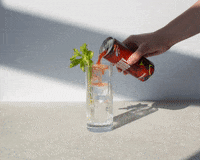 Bloody Mary GIF by canvasbar