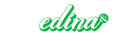 Salad Edina Sticker by CRISP&GREEN