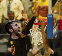 Lebron James GIF