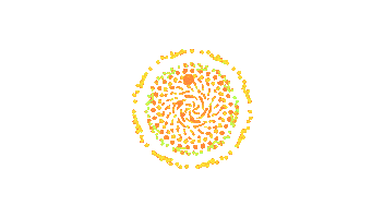 3D Flower Sticker by Quasi Crystals