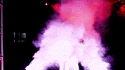 college baseball cws GIF by NCAA Championships