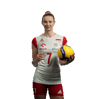 Pzps Sticker by Polska Siatkowka