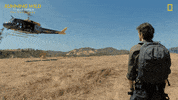 Survive Nat Geo GIF by National Geographic Channel