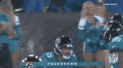 Regular Season Football GIF by NFL