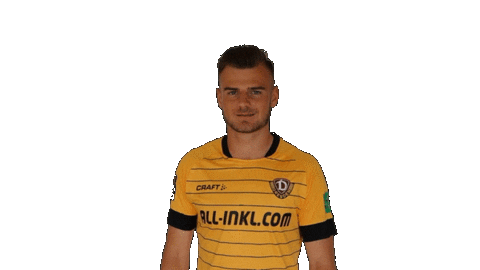 Bundesliga Smile Sticker by SG Dynamo Dresden