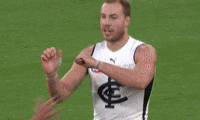 Carlton Blues Afl GIF by Carlton Football Club