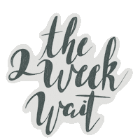 Uterus Fertility Sticker