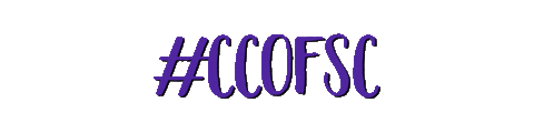 South Carolina College Sticker