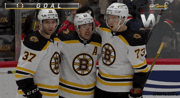 Ice Hockey Sport GIF by NHL