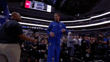dirk nowitzki lol GIF by NBA