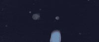 Anna_Dudko 2d 2d animation darkness baloon GIF