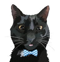 Cat Pet Sticker by Watertown Humane Society