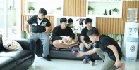sunbeary GIF