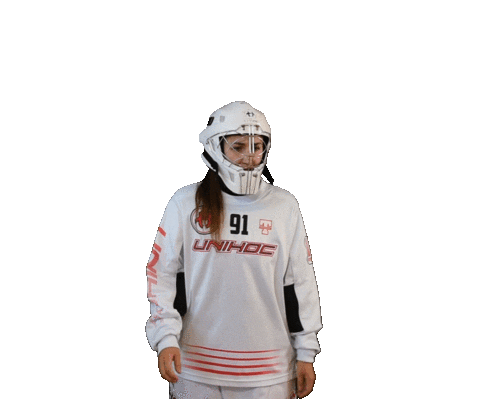 Floorball Sticker by Český florbal