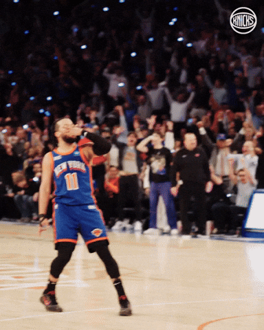 Celly GIF by New York Knicks