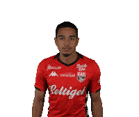 Ligue 2 Football Sticker by EA Guingamp