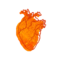 Conviva23 Sticker by VIVA EVENTOS