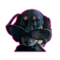 Bobinette Sticker