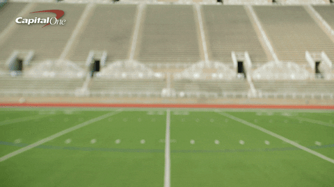 Game Day Touchdown GIF by Capital One