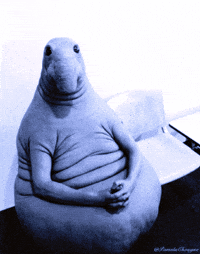 Pamela Chougne Zhdun GIF