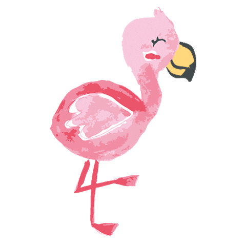 neuscarreras giphyupload animal infantil flamenco Sticker
