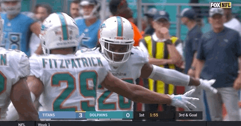 High Five Miami Football GIF by Miami Dolphins