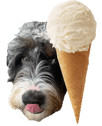 Ice Cream Food Sticker