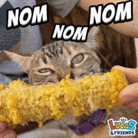 Hungry Lets Eat GIF by Lucas and Friends by RV AppStudios
