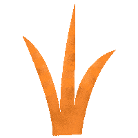 Sol Areia Sticker by Garnier Portugal