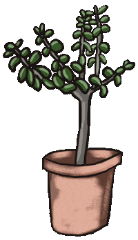 Grow Jade Plant Sticker by Kirsten Hurley