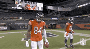 Regular Season Football GIF by NFL
