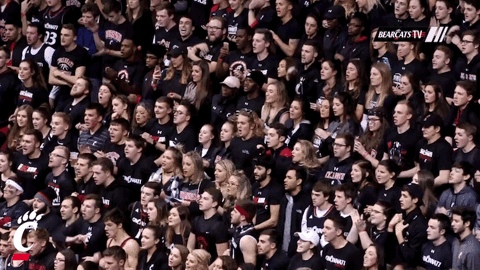 cincinnati bearcats confetti GIF by University of Cincinnati Athletics
