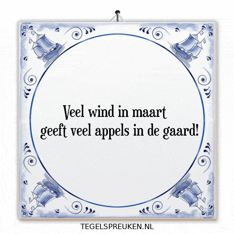 Wind Nl GIF by Tegelspreuken.nl