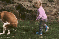 atta GIF
