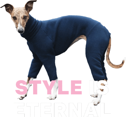 Lolly The Whippet Sticker
