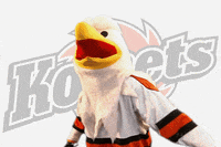 hockey bird GIF by Fort Wayne Komets