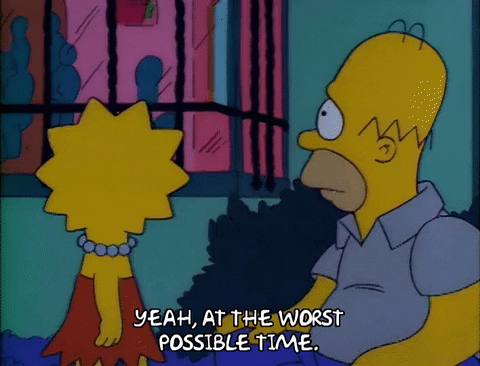 Season 2 Episode 13 GIF by The Simpsons