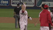 baseball hug GIF