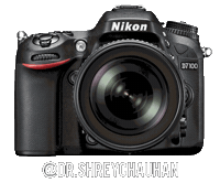 Nikoninstabadge D7100 Sticker by NikonIndia