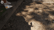 Huntedau GIF by Hunted Australia