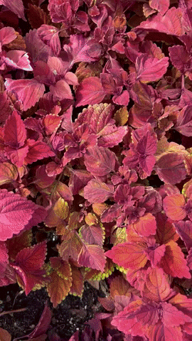 GIF by The Points Guy