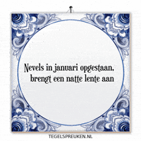 Humor Nl GIF by Tegelspreuken.nl